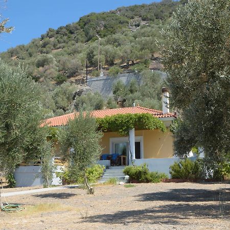 Melinda Holiday House Plomari Exterior foto
